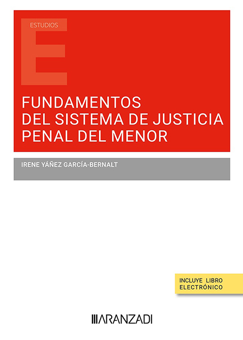 Fundamentos del sistema de justicia penal del menor